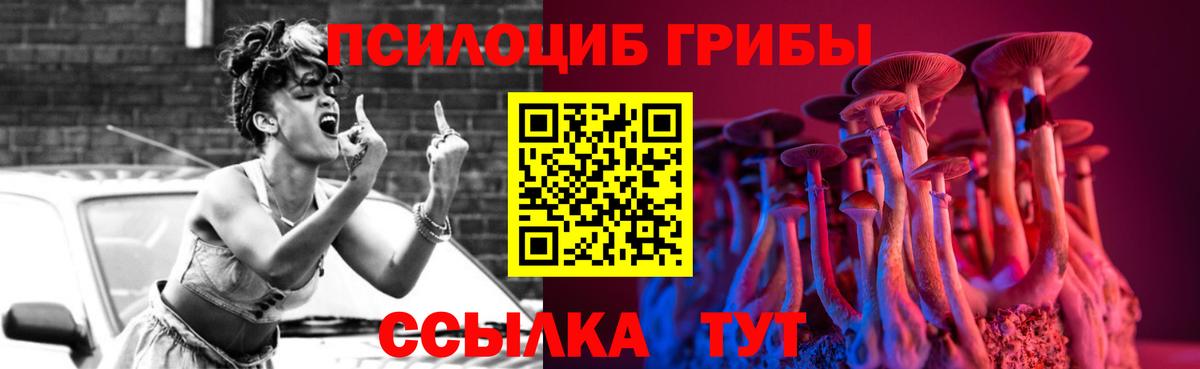 Псилоцибиновые грибы мицелий  Псилоцибиновые грибы Psilocybe  Холмск  Вход с VPN 